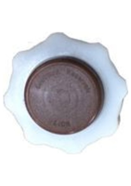 RC0017 Radyatör Yedek Su Depo Kapağı Renault 9 Flash R19 Renault 12 Toros Megane Clıo Kangoo