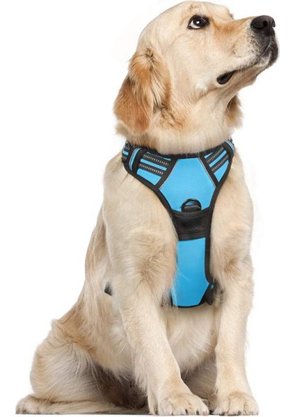 Ayarlanabilir Köpek Koşumlu, Patlamaya Karşı Dayanıklı Su Geçirmez Köpek Yeleği (Yurt Dışından)