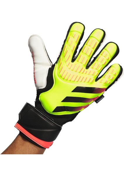 Unisex PRED GL MTC FS Kaleci Eldiveni IQ4038