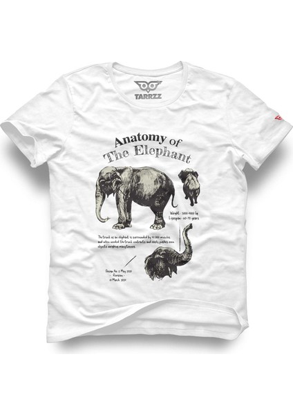 Anatomy Elephant Tasarım T-Shirt Fil Anatomisi Baskılı T-Shirt Fil Baskılı Unisex T-Shirt