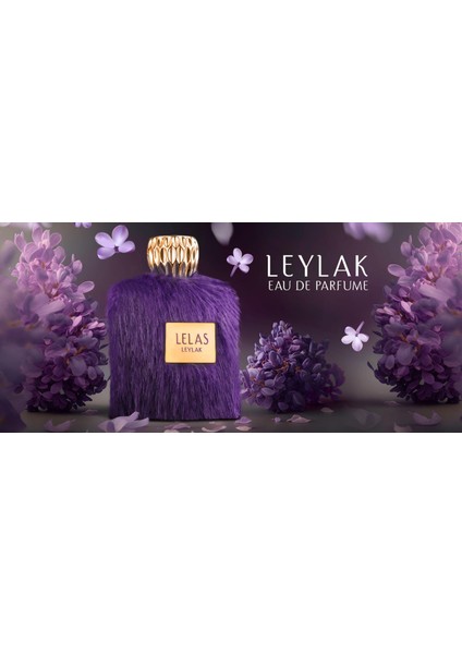 1581 Leylak Unisex Siyah Kutulu Hediyelik Set (Parfüm+Deodorant+Vücut Spreyi+Saç Spreyi)