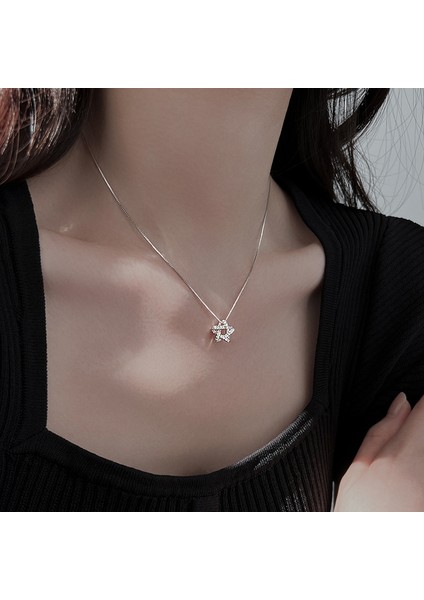 Pentagram Kolye Gümüş Işıltılı Pırlanta Kilitli Kemik Zincir (Yurt Dışından) fiyatları