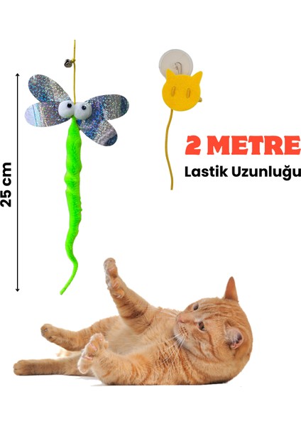 Yusufçuk Kendinden Yapışkanlı ve Ses Çıkaran Kedi Oltası 2 Metre Lastikli Elastik Kedi Oyun Oltası