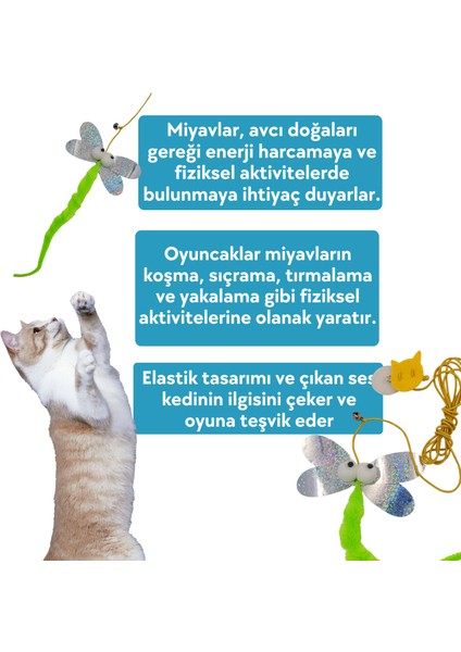 Yusufçuk Kendinden Yapışkanlı ve Ses Çıkaran Kedi Oltası 2 Metre Lastikli Elastik Kedi Oyun Oltası