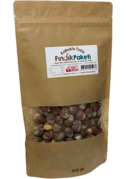 Kavrulmuş Tuzlu Kabuklu Fındık Iri Taneli Büyük Boy Taze Kavrulmuş Yeni Mahsul Tuzlu Fındık 500GR