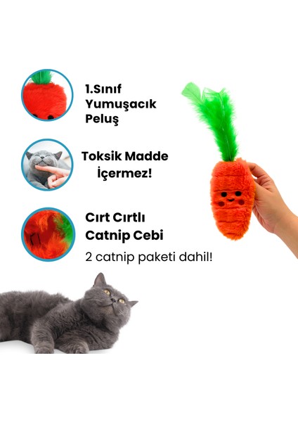 Kedi Aktivite Seti Kedi Otlu Peluş Havuç, Ponpon Fırlatıcı ve Kedi Oyun Oltası Kedi Oyuncakları