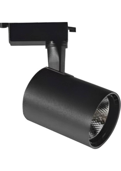 30W Ray Spot Babil LED Armatür (Siyah Kasa) (Günışığı) Cat CT-5334G