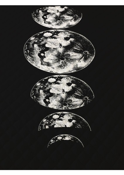 Ay Desenli, Baskılı Tek Kişilik ve Çocuk Pike Takımı fiyatları