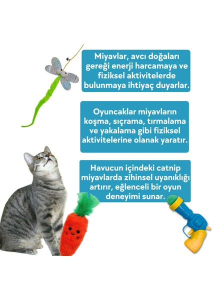 Kedi Aktivite Seti Kedi Otlu Peluş Havuç, Ponpon Fırlatıcı ve Kedi Oyun Oltası Kedi Oyuncakları