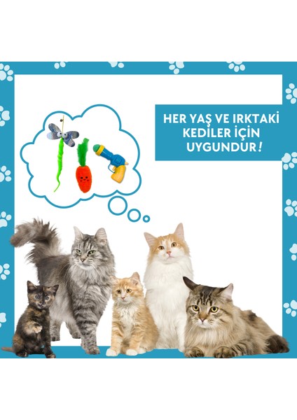 Kedi Aktivite Seti Kedi Otlu Peluş Havuç, Ponpon Fırlatıcı ve Kedi Oyun Oltası Kedi Oyuncakları