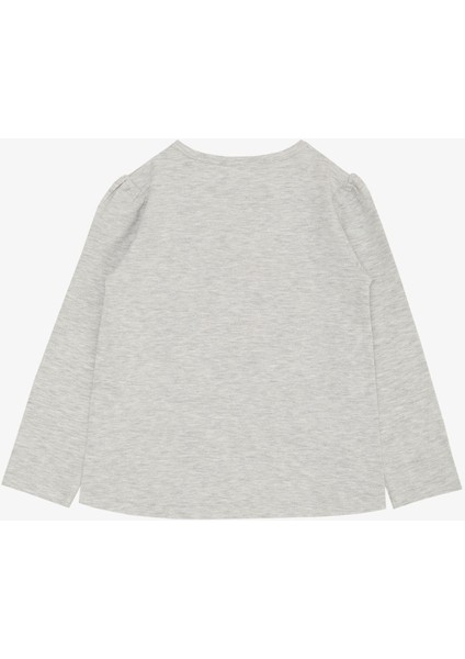 Kız Çocuk Uzun Kollu Tişört Kabartma Nakışlı Kuğu Baskılı 2-6 Yaş, Gri Melanj fiyatları