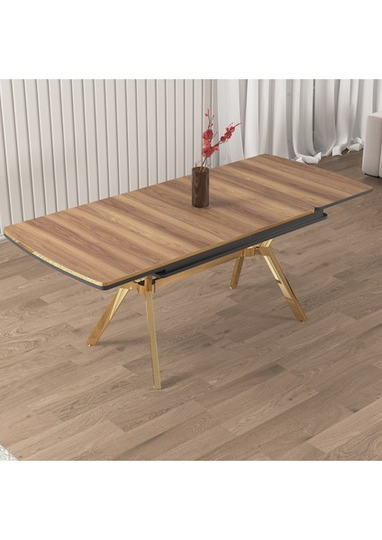 Weps Serisi 89X150 Açılabilir Lak Panel Hazar Masa Takımı 6 Kahve Sandalye fırsatları