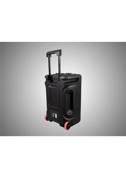 TR-15PRO Trolley Speaker 15'' 38 cm Şarjlı Hi-Fi Taşınabilir Karaoke Ses Sistemi