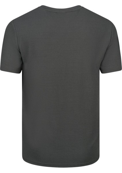 Sıfır Yaka T-Shirt Açık Antrasit Kalei