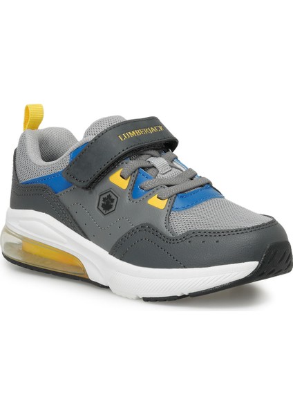 Labton 4fx Grı Erkek Çocuk Sneaker
