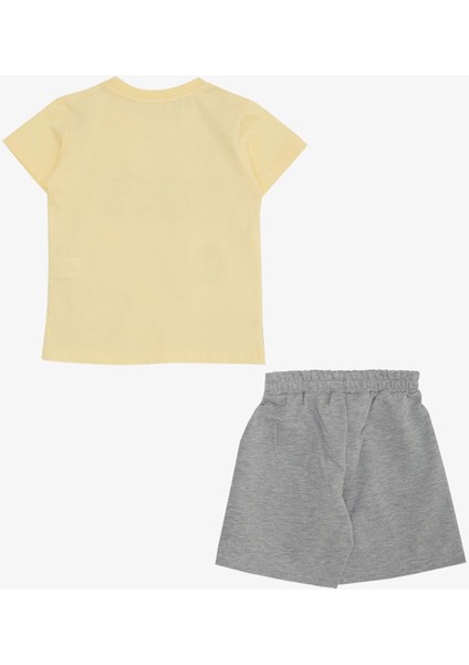Erkek Çocuk Şortlu Takım Mutlu Ayıcık Baskılı 2-6 Yaş, Sarı fiyatları