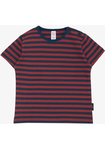Erkek Çocuk Tişört Patlı Çizgili 1-4 Yaş, Karışık Renk