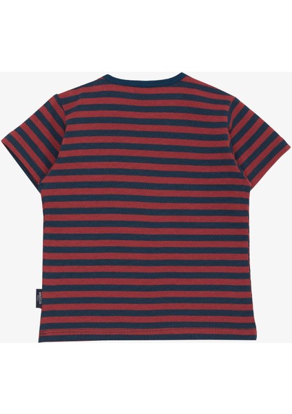 Erkek Çocuk Tişört Patlı Çizgili 1-4 Yaş, Karışık Renk fiyatları