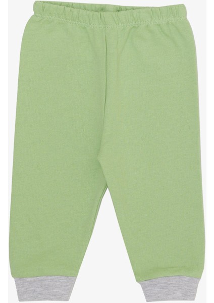 Erkek Bebek Zıbınlı 3 Lü Takım Sevimli Dalmaçyalı Gözlüklü Köpekçik Nakışlı 4 Ay-1 Yaş, Yeşil fırsatları