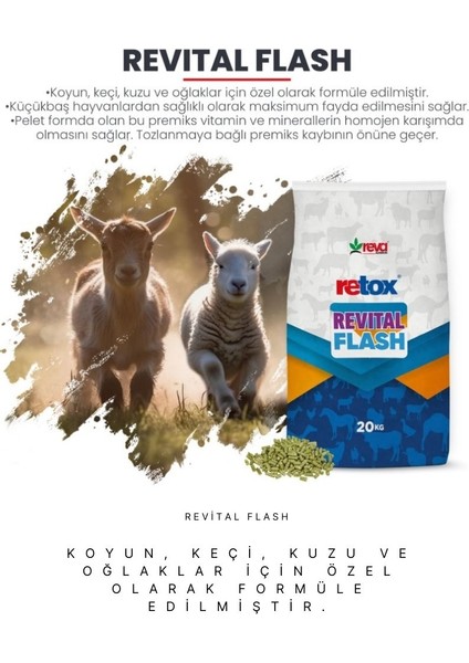 Revital Flash Küçükbaş Hayvanlar Için Verim Arttırıcı Yem Katkı - 20KG