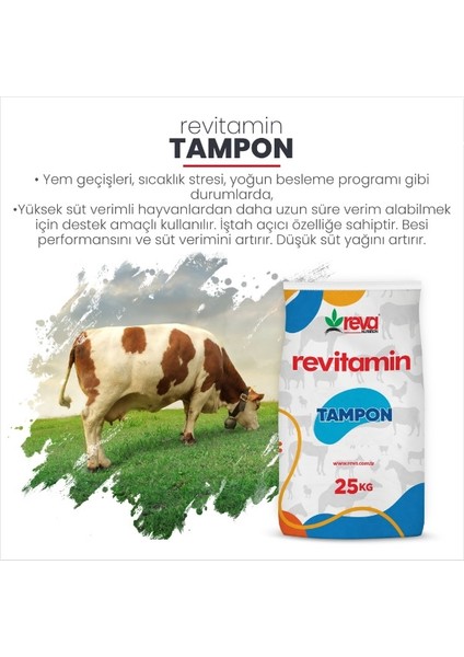 Revitamin Tampon - Verim Arttırıcı Hayvan Yem Katkı 25 kg Kraft