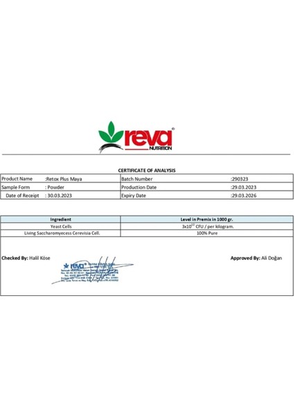 Plus Canlılık Oranı Yüksek Saf Maya Vakumlu 10 kg
