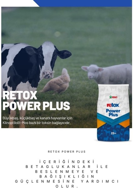 Retox Power Plus Toksın Bağlayıcı Hayvan Yem Katkı 25 kg Kraft