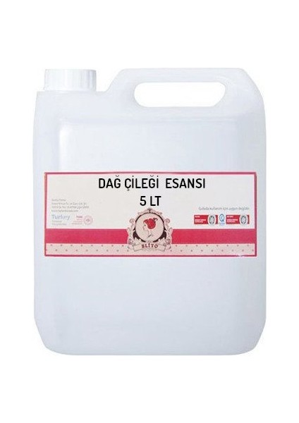 Dağ Çileği Esansı 5 lt