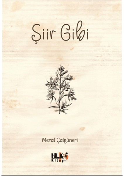 Şiir Gibi - Meral Çalgüneri