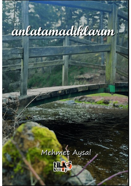 Anlatamadıklarım - Mehmet Aysal
