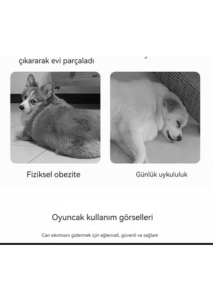 Evcil Hayvan Isırmasına ve Gıdaya Dayanıklı Diş Taşlama Eğitim Topu (Yurt Dışından) fiyatları