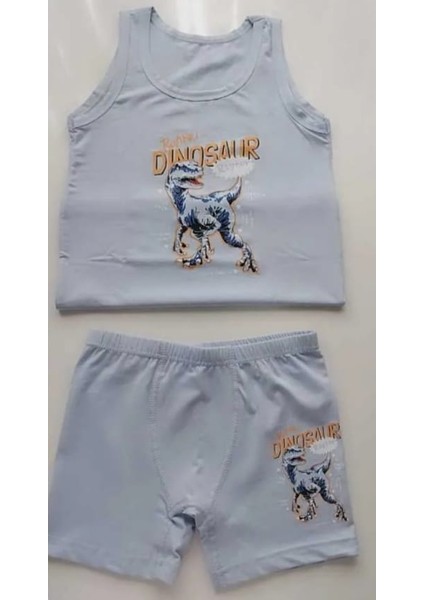 Erkek Çocuk Resimli Atlet & Boxer 5'li Gri - Açık Mavi -Turkuaz - Lacivert - Krem fiyatları