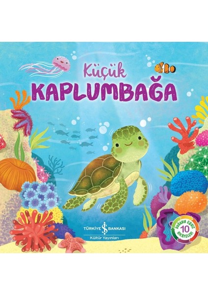 Küçük Kaplumbağa - Wednesday Jones