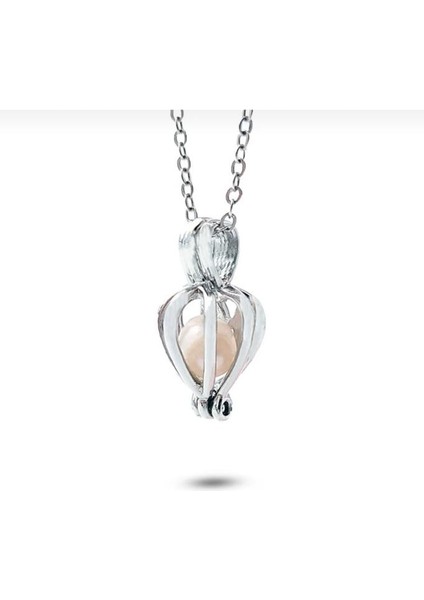 Özel Hediye Istiridye Içinde Gerçek Inci Yıldönümü Sevgililer Günü Anneler Gününe Özel fırsatları