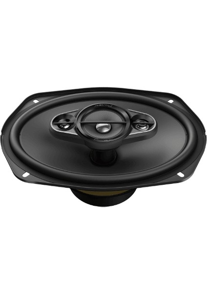 TS-A6980F 650W Oval Hoparlör