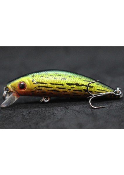M219X70 Tarzı Wlure Jerkbait Minnow Crankbait 8g 7 cm Balıkçılık Cazibesi Sert Yem Sazan Balıkçılık Tatlı Su Böcek Yem Sahte Cazibesi Balıkçılık M219 (Yurt Dışından)