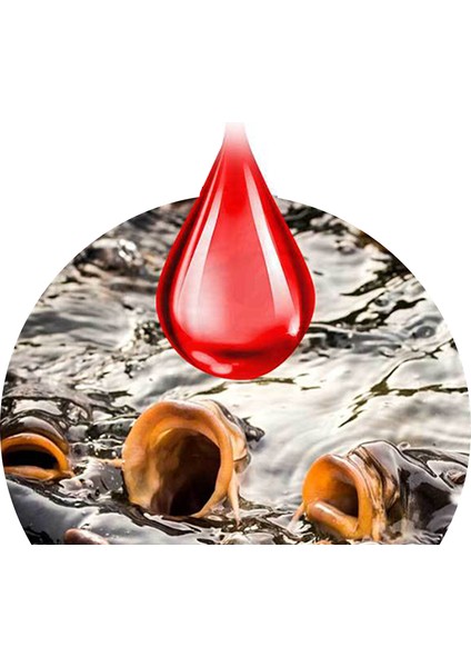 10ML Güçlü Balık Yemi Katkı Maddesi Sıcak Satış Cezbedici Yemler Yemler Konsantre Balıkçılık Kokusu Sıvı Katkı Maddesi Tatlı Su Balıkları Için (Yurt Dışından) fiyatları
