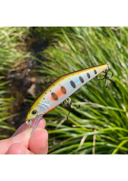 Ey Stil Peche Leurre Japonya Pesca Sert Balıkçılık Cazibesi Dg Batan Minnow Peche Yapay Yem Levrek Pike Somon Alabalık (Yurt Dışından) fiyatları