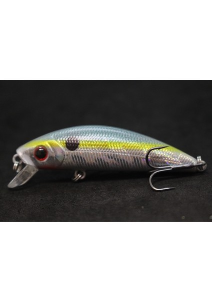 M219X89 Tarzı Wlure Jerkbait Minnow Crankbait 8g 7 cm Balıkçılık Cazibesi Sert Yem Sazan Balıkçılık Tatlı Su Böcek Yem Sahte Cazibesi Balıkçılık M219 (Yurt Dışından)