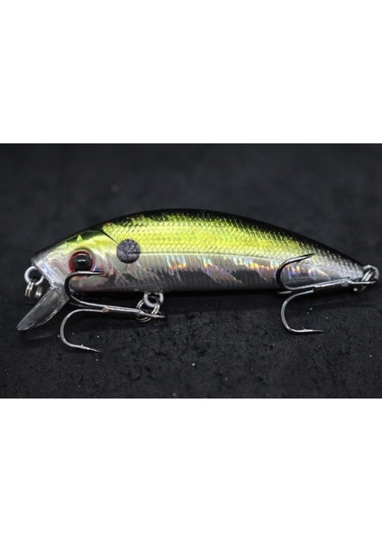 M219X84 Tarzı Wlure Jerkbait Minnow Crankbait 8g 7 cm Balıkçılık Cazibesi Sert Yem Sazan Balıkçılık Tatlı Su Böcek Yem Sahte Cazibesi Balıkçılık M219 (Yurt Dışından)