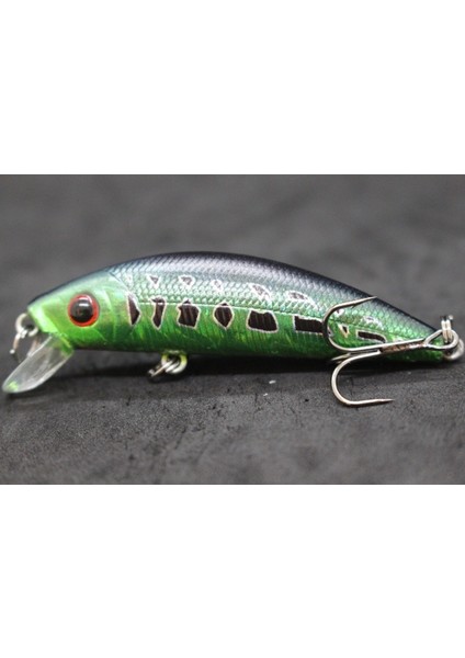 M219X76 Stili Wlure Jerkbait Minnow Crankbait 8g 7 cm Balıkçılık Cazibesi Sert Yem Sazan Balıkçılık Tatlı Su Böcek Yem Sahte Cazibesi Balıkçılık M219 (Yurt Dışından)