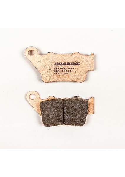 Trıumph Street Triple R 675 (2013-2017) Sinterli Arka Fren Balatası modelleri