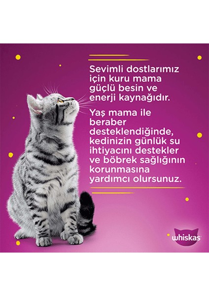 Ton Balıklı Poşet Mama 85 gr fırsatları