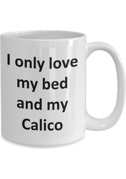 Komik Calico Kupa - Yatağımı Seviyorum ve Calico Kedi Kahve Fincanı - Ingilizce Kahve Kupa