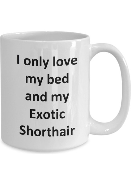 Komik Egzotik Shorthair Kupa - Love My Bed ve Egzotik Shorthair Kedi Kahve - Ingilizce Kahve Kupa
