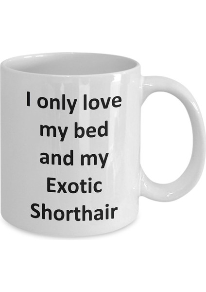 Komik Egzotik Shorthair Kupa - Love My Bed ve Egzotik Shorthair Kedi Kahve - Ingilizce Kahve Kupa