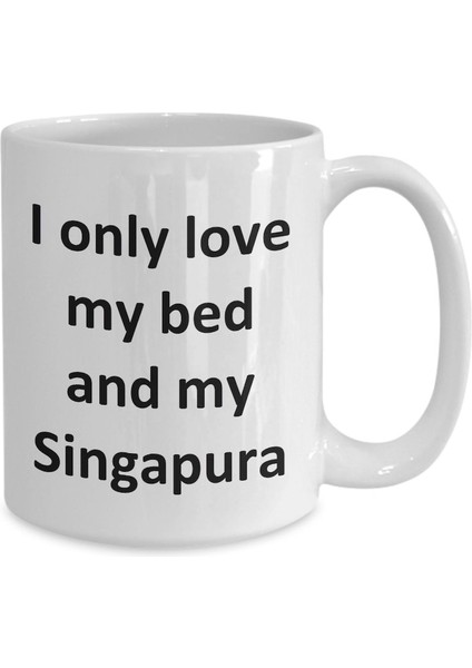 Komik Singapura Kupa - Yatağımı Seviyorum ve Singapura Kedi Kahve Fincanı - Ingilizce Kahve Kupa