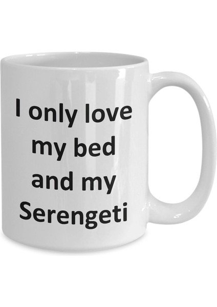 Komik Serengeti Kupa - Yatağımı Seviyorum ve Serengeti Kedi Kahve Fincanı - Ingilizce Kahve Kupa