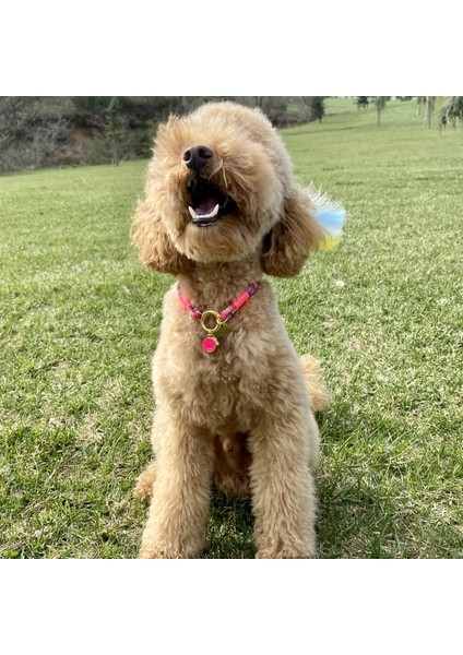 Pembe Kedi Köpek Kolyesi Altın Kaplama modelleri