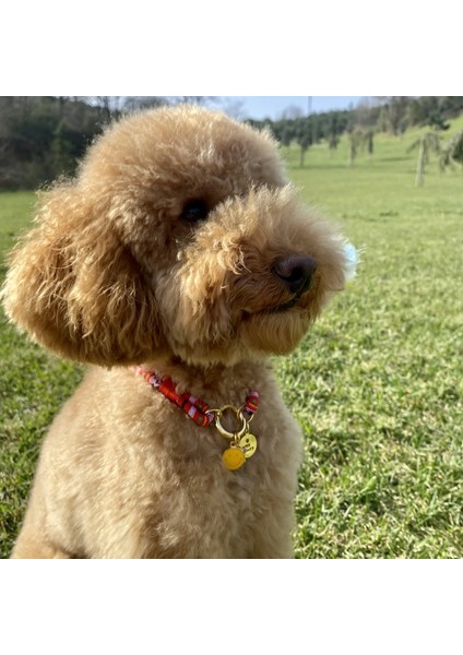 Kırmızı Kedi Köpek Kolyesi Altınkaplama